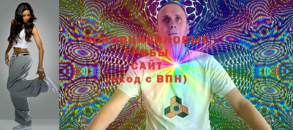 apvp Тавда