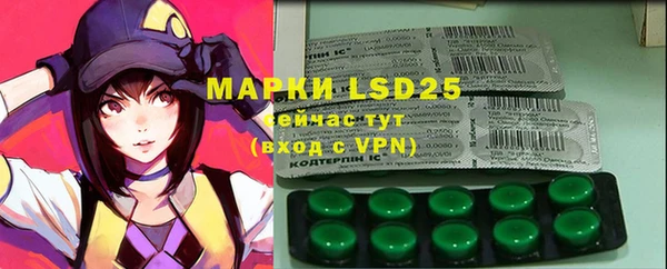 apvp Тавда