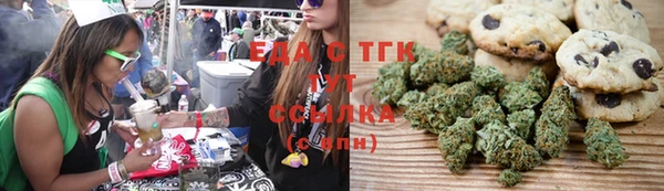 скорость Тайга