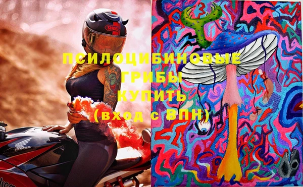 амф Сясьстрой